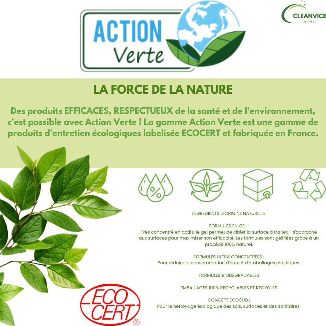 Pourquoi choisir des produits Ecocert et Ecolabel ?