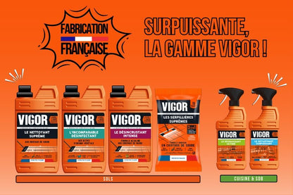 Vigor Professionnel Le désincrustant intense