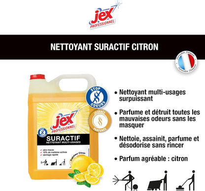 JEX PROFESSIONNEL EXPRESS DÉGRAISSANT TRIPLE ACTION PAYS NIÇOIS