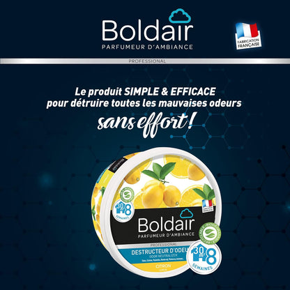 BOLDAIR GEL DESTRUCTEUR D'ODEURS CITRON