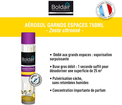 BOLDAIR GRANDS ESPACES ZESTE CITRONNÉ