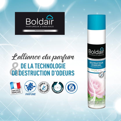 BOLDAIR DESTRUCTEUR D'ODEURS MENTHE ROSE