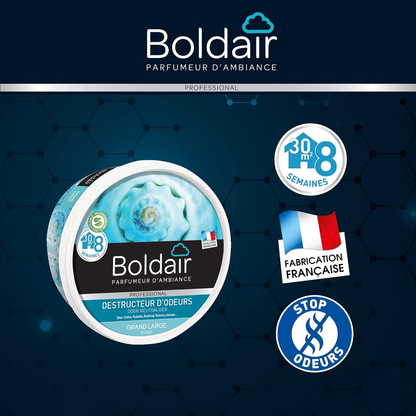 BOLDAIR pot 300G destructeur d'odeur grand large