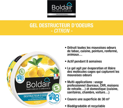 BOLDAIR GEL DESTRUCTEUR D'ODEURS CITRON