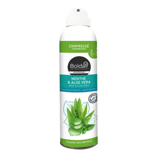 BOLDAIR DESODORISANT D'INTERIEUR MENTHE & ALOE VERA