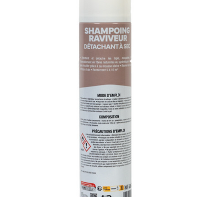 Shampooing aérosol raviveur moquettes Spado 600 ml par 6